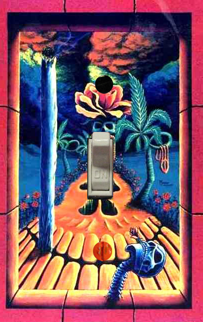 trippy light switch plate vincent monaco